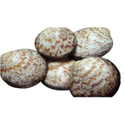 Amande 1kg